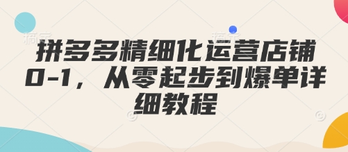 拼多多精细化运营店铺0-1，从零起步到爆单详细教程-九鹄轻创网