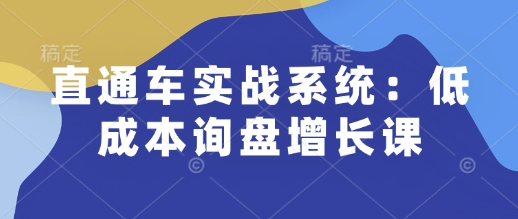 直通车实战系统：低成本询盘增长课，让个人通过技能实现升职加薪，让企业低成本获客，订单源源不断-九鹄轻创网