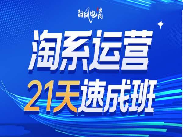 淘系运营21天速成班35期，年前最后一波和2025方向-九鹄轻创网