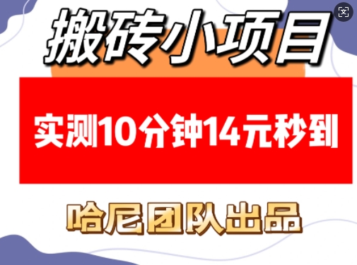 搬砖小项目，实测10分钟14元秒到，每天稳定几张(赠送必看稳定)-九鹄轻创网