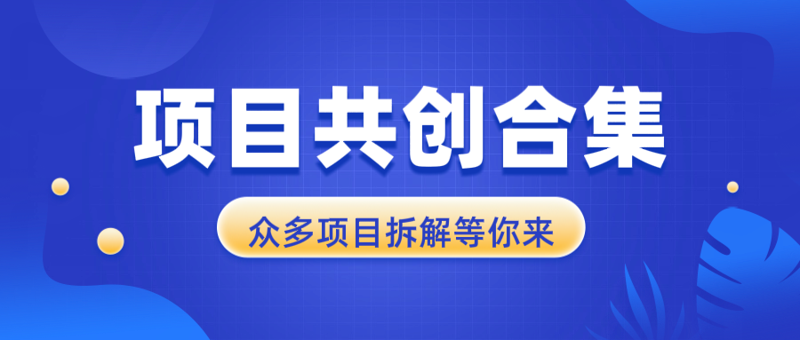 项目共创合集，从0-1全过程拆解，让你迅速找到适合自已的项目-九鹄轻创网